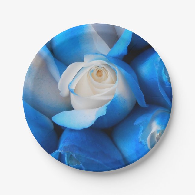 Diemudis Paper Plate (Front)