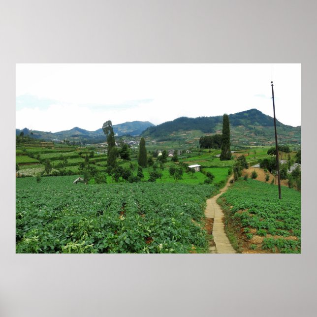 Dieng Farmland Poster (Front)