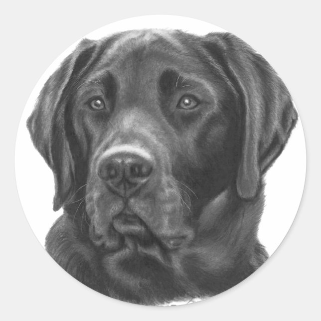Diesel, Black Labrador Retriever Classic Round Sticker (Front)