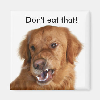 Dieter's magnet