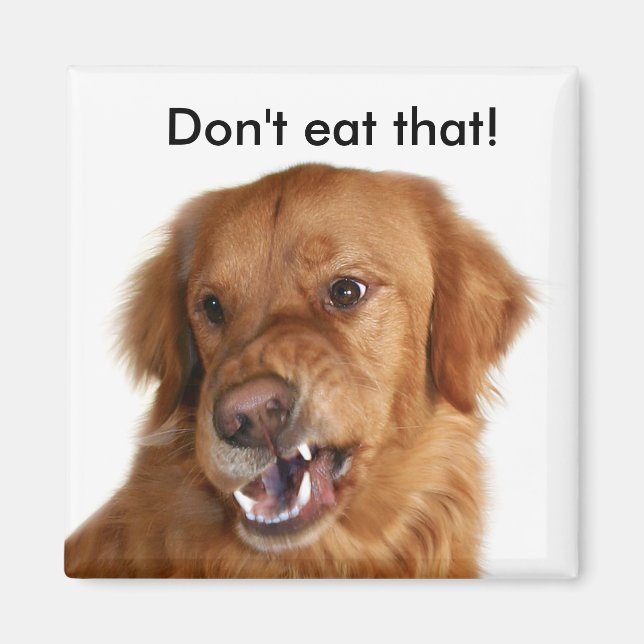 Dieter's magnet (Front)