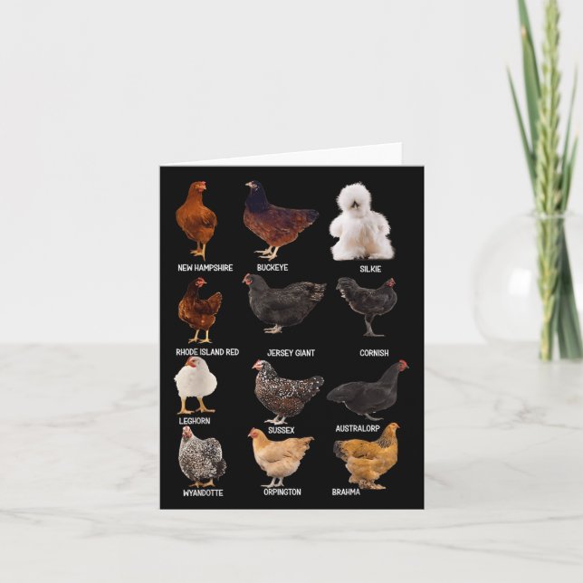 Different Chicken Breeds Guide New Hampshire Farm  Card (Front)