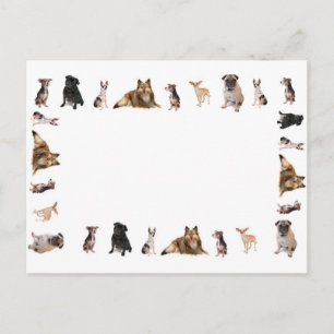 Different dog breeds in a row postcard