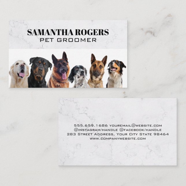 Different Dogs Sitting Appointment Card (Front/Back)