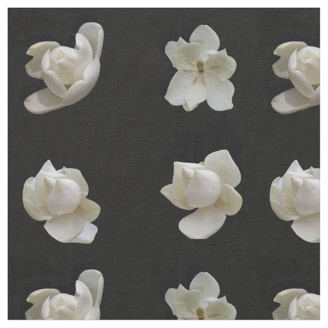 Different Magnolia flowers on black fabric (Close Up)
