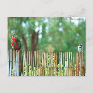 Different Minds Postcard