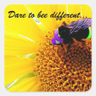 Different Square Sticker