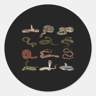 Different Types Of Snakes Educational Serpent Classic Round Sticker