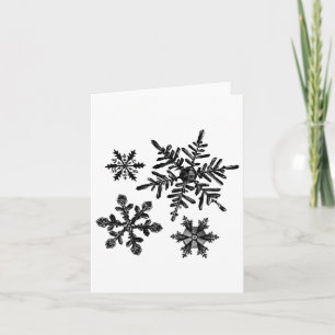 Different Types Of Snowflakes Snow Crystal Christm Card