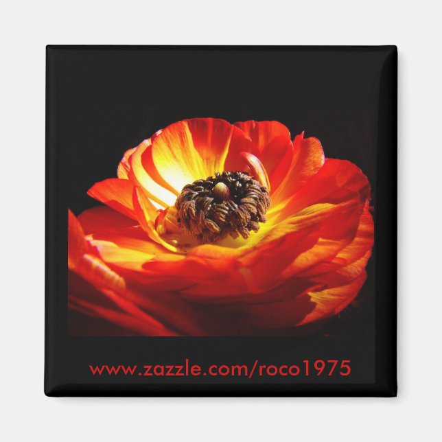  Differenza Magnet (Front)