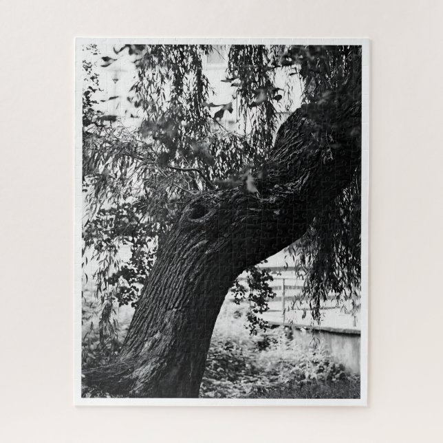 Difficult Monochrome Nature Photography Jigsaw Puzzle (Vertical)