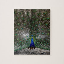Difficult puzzles gifts peacock feathers puzzle