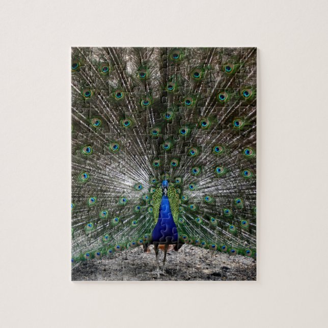 Difficult puzzles gifts peacock feathers puzzle (Vertical)