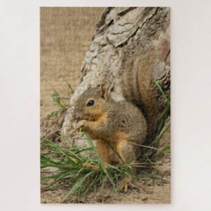 Difficult Squirrel Puzzle