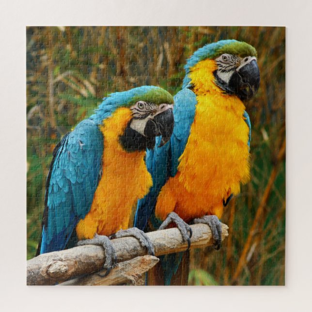 Difficult Unique Macaw Bird Puzzle (Vertical)