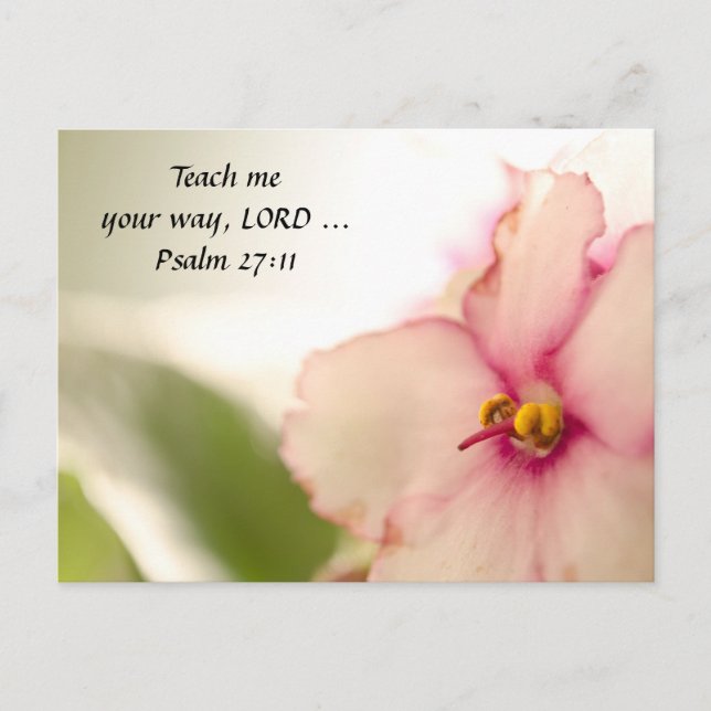 Diffuse Violets Postcard (Front)