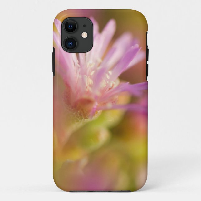 Diffused Image Of A Colourful Succulent Flower Case-Mate iPhone Case (Back)