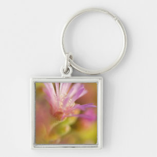 Diffused Image Of A Colourful Succulent Flower Key Ring