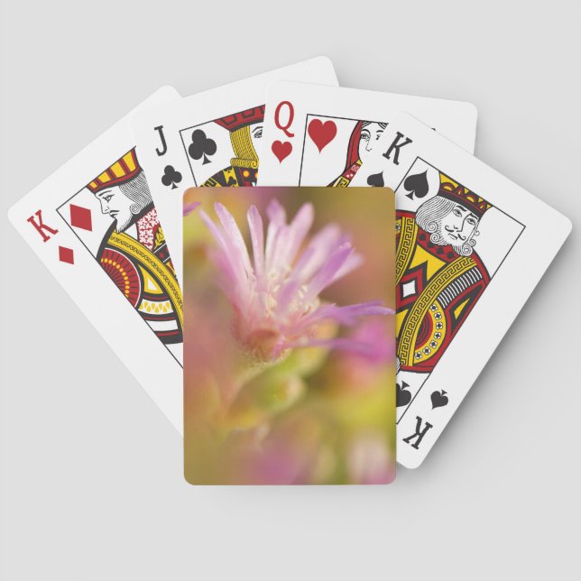 Diffused Image Of A Colourful Succulent Flower Playing Cards (Back)