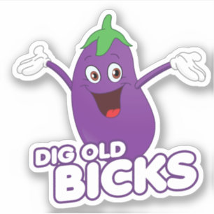 DIG OLD BICKS
