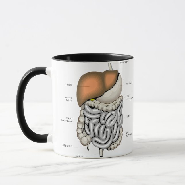 Digestive Organs Mug (Left)