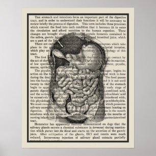 Digestive System Anatomy Art Print #1