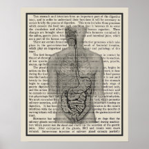 Digestive System Anatomy Art Print #5