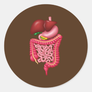 Digestive System Endoscopy Tech Nurse Classic Round Sticker
