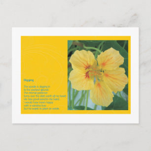 Digging Postcard