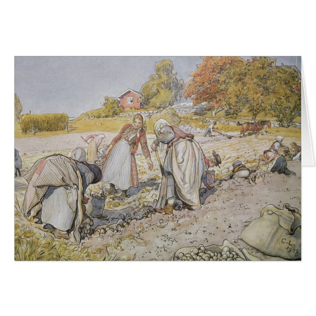 Digging Potatoes, 1905 (Front Horizontal)