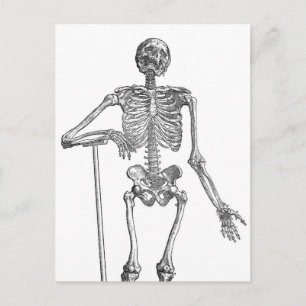 Digging Skeleton Illustration Postcard