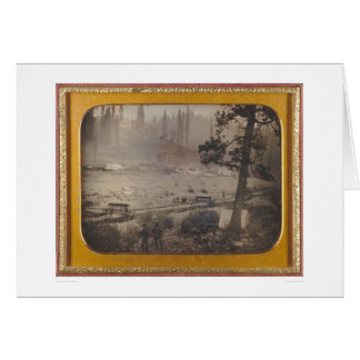 Diggings at Grizzly Flat, El Dorado Co. (40070)