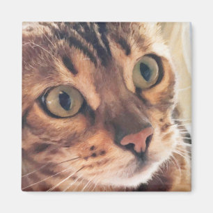 Digital Art Close up of Beautiful Cat Large Eyes Magnet