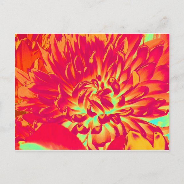 Digital Art Flower Postcard (Front)