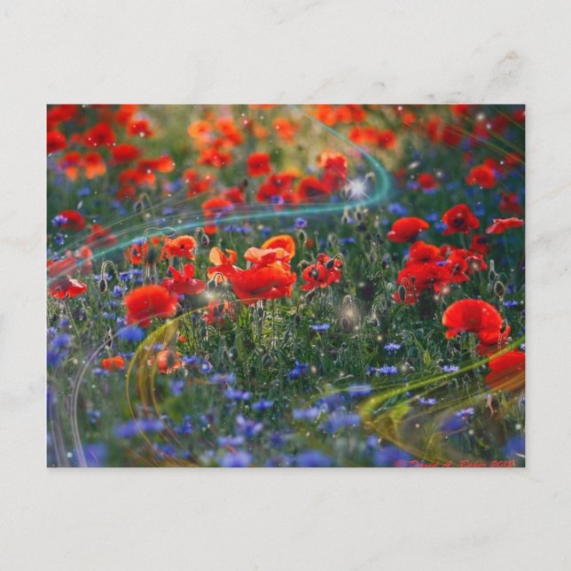 Digital artwork postcard (Front)