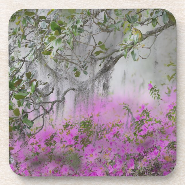 Digital Composite of Azaleas and magnolia tree Coaster (Front)