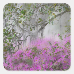 Digital Composite of Azaleas and magnolia tree Square Sticker