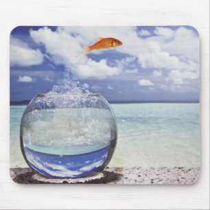 Digital composition mouse mat