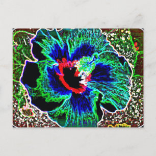 Digital enhanced Hawaiian Hibiscus prints Postcard