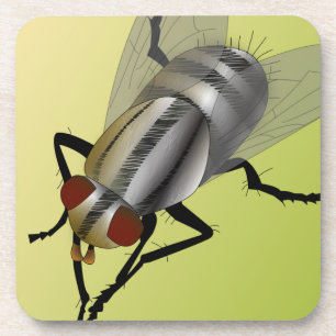 Digital Fly Coaster