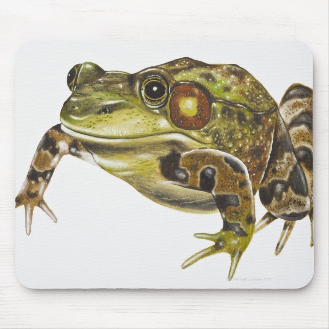 Digital illustration of Green Frog Mouse Mat (Front)