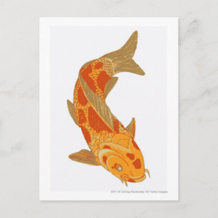 Digital illustration of Koi Carp Postcard