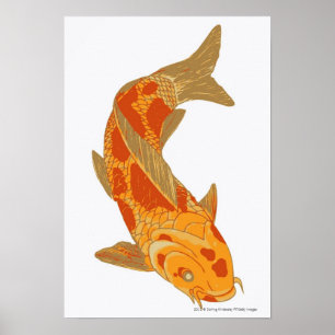 Digital illustration of Koi Carp Poster