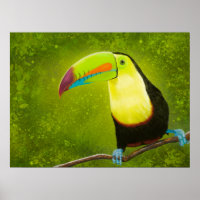 Digital Painting Tropical Jungle Toucan Bird
