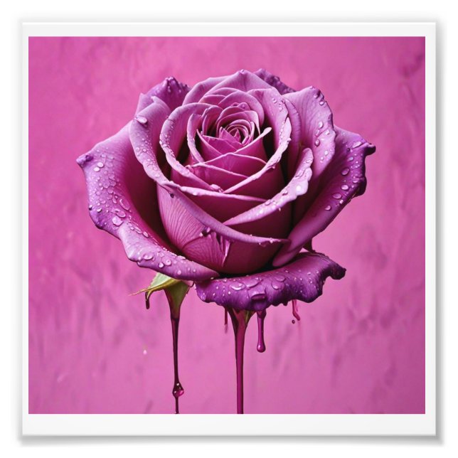 digital photo print , beautiful pink rose. (Front)
