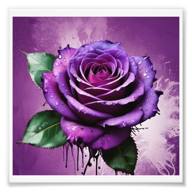 digital photo print, purple rose (Front)