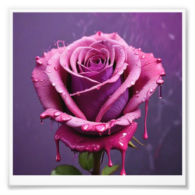 digital print of a pink rose. (Front)