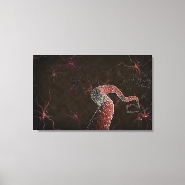 Digital rendering of neurons canvas print (Front)