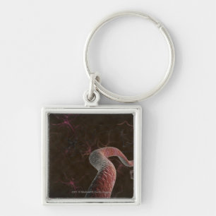 Digital rendering of neurons key ring