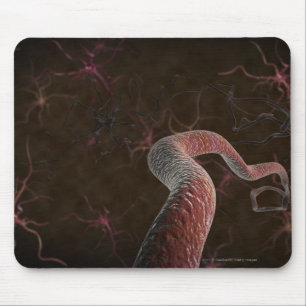 Digital rendering of neurons mouse mat
